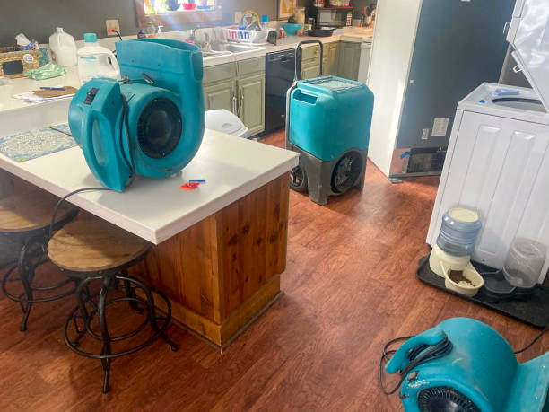 Best Professional water damage repair  in Lake Catherine, IL