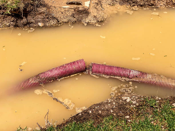 24/7 water damage repair in Lake Catherine, IL